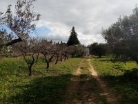 Ferme à Badar