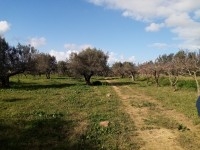 Ferme à Badar