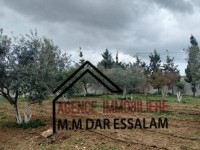 ferme à el haouaria