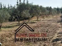 ferme à kélibia 