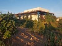 Ferme à SIDI BOU ALI