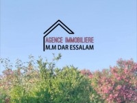 ferme à vendre à dar allouche