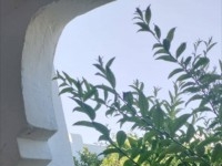 ferme à vendre à dar allouche