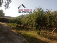 ferme à vendre à dar allouche