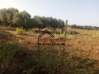 ferme à vendre à dar allouche