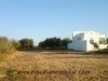 Ferme Adam ref AV775 Hammamet sud 