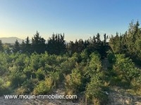 FERME ASIL Beni Ouiel Hammamet T1206