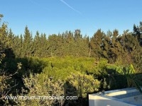 FERME ASIL Beni Ouiel Hammamet T1206