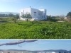 Ferme avec magnifique villa 