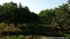 Ferme Batrou ref T336 Grombelia