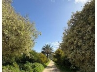 FERME BENI KHALLED 2 Beni Khalled T1225