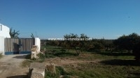 Ferme Bouargoub ref T573 Nabeul