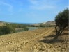 Ferme Cap Zebib ref T361 Bizerte 