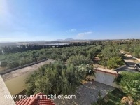 FERME DARIO Borj Hfaiedh  T981