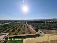 FERME DARIO Borj Hfaiedh T981