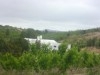 ferme de 20hectares