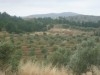 ferme de 20hectares