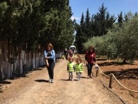 Ferme de 58 Hectare Direct particulier à Tebourba