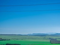 Ferme de 58 Hectare Direct particulier à Tebourba