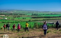 Ferme de 58 Hectare Direct particulier à Tebourba