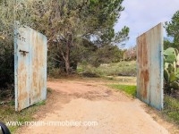 FERME HAOUARIA AV à Nabeul T1104
