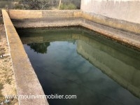 FERME HAOUARIA Nabeul T1104