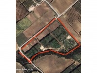 FERME HELA Nabeul Mhedhba T1227