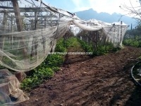 Ferme La Vigne T686