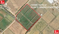 Ferme louhichi beni khalled 3m527