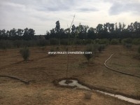 Ferme Nocturne ref T614 bir bouragba Hammamet 