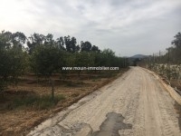 Ferme Nocturne ref T614 bir bouragba Hammamet 