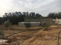 Ferme Nocturne T614 Hammamet 