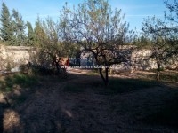 Ferme Nouran  T677