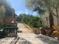 Ferme Oliva T1230 nabeul 