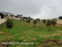 FERME ORCHIDÉE I Birbouregba Hammamet T1025