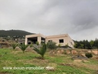 Ferme Orchidée T1025 Hammamet 