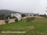 Ferme Orchidée T1025 Hammamet 