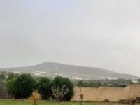 Ferme Orchidée T1025 Hammamet 