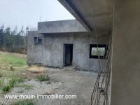 Ferme Orchidée T1025 Hammamet