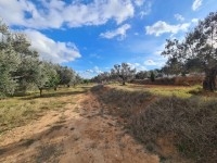FERME SOULAYMA Hammamet - Zone Craxi T923