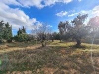 FERME SOULAYMA Hammamet - Zone Craxi T923