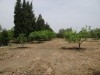 Ferme Ward T240
