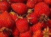 FRAISE