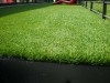 Gazon et pelouse artificiel 