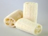 Graines de loofah