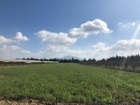 grande ferme agricole à vendre a Morneg Sidi Saad