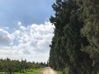 grande ferme agricole à vendre a Morneg Sidi Saad