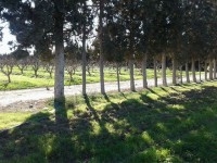 grande ferme agricole à vendre a Morneg Sidi Saad