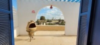 GRANDE PROPRIÉTÉ À VENDRE À DJERBA ARKOU-RÉF V668