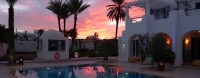 GRANDE PROPRIETE A VENDRE AU Z T DJERBA - RÉF V592